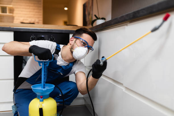 Wasp Removal Services in Lake Of The Woods, VA