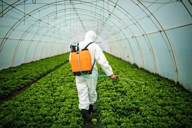 Best Best Pest Control Companies  in Lake Of The Woods, VA