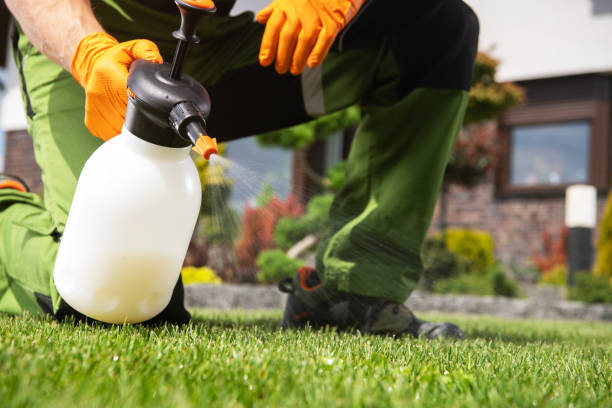 Insect Control in Lake Of The Woods, VA