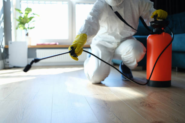 Best Wasp Removal Services  in Lake Of The Woods, VA