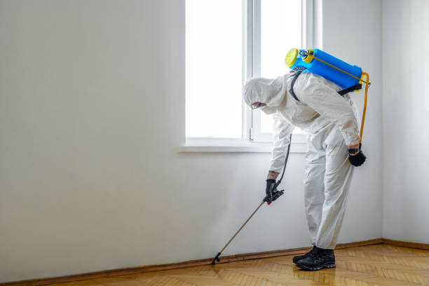 Professional Pest Control in Lake Of The Woods, VA