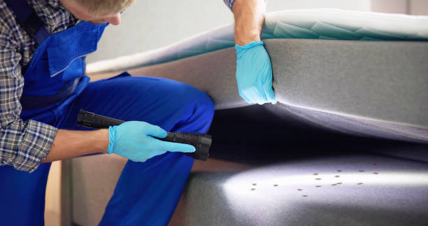 Best Commercial Pest Control Services  in Lake Of The Woods, VA