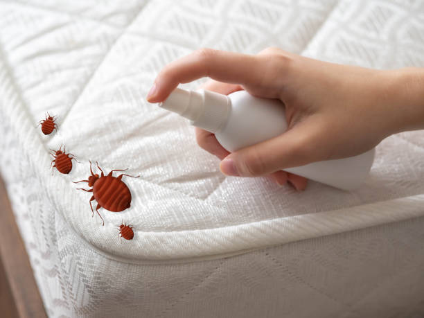 Best Exterminator Services  in Lake Of The Woods, VA